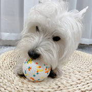 Durable High Bounce & Chew-Resistant Interactive Rubber Dog Toy Ball