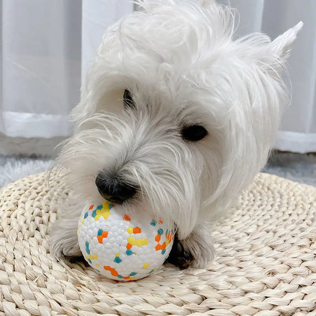 Durable High Bounce & Chew-Resistant Interactive Rubber Dog Toy Ball