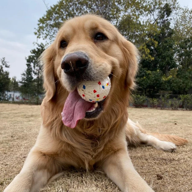 Durable High Bounce & Chew-Resistant Interactive Rubber Dog Toy Ball