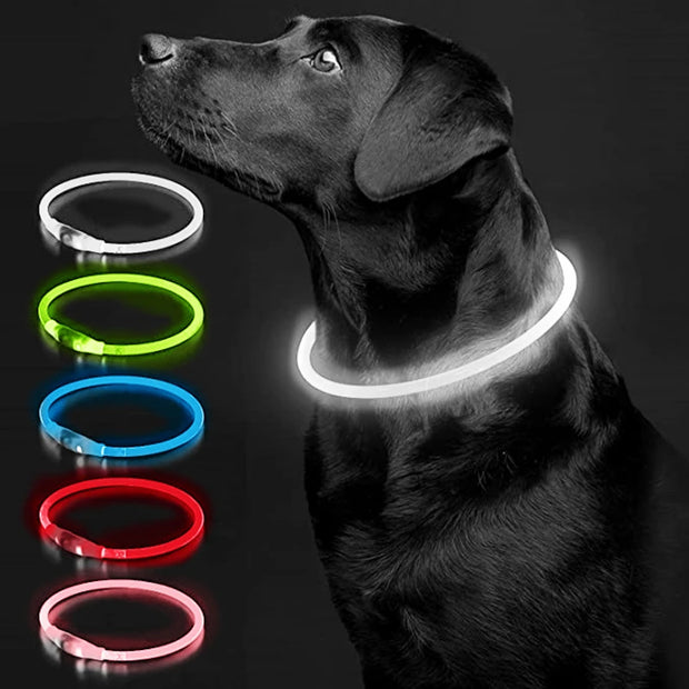 LED Glowing USB Rechargeable Light-Up Safety Pet Collar Necklace