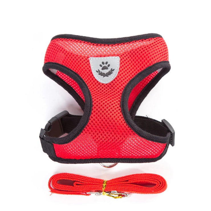 Pet Harness & Leash Set
