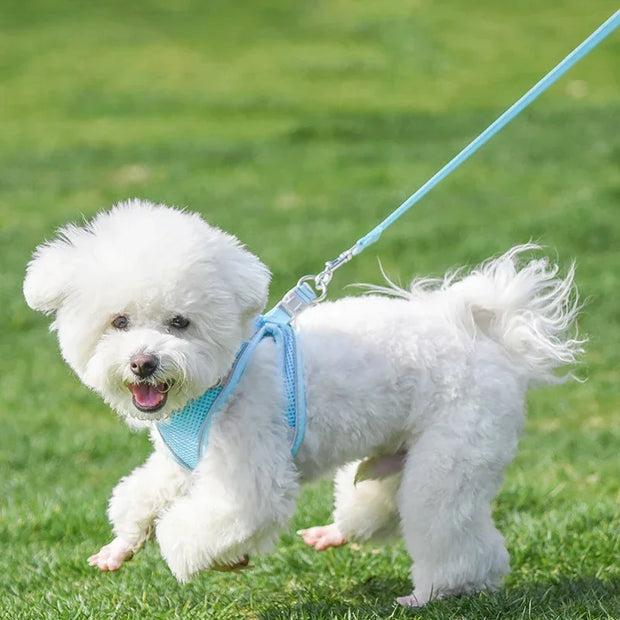 Breathable Adjustable Outdoor Walking Mesh Dog Harness Vest Set