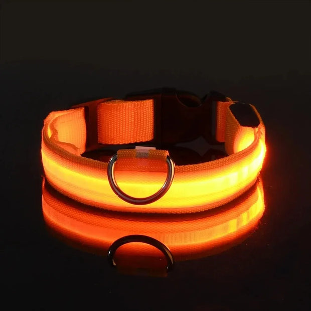 Light-Up Safety Collar for Night Walks Dog Collar