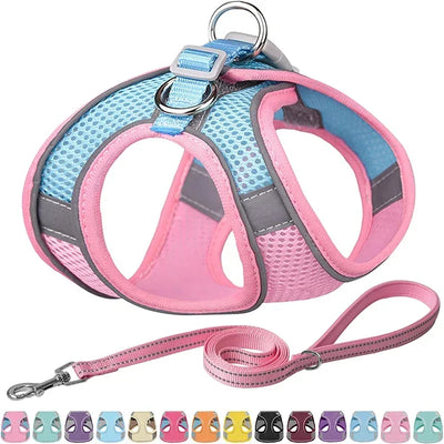 Breathable Adjustable Outdoor Walking Mesh Dog Harness Vest Set