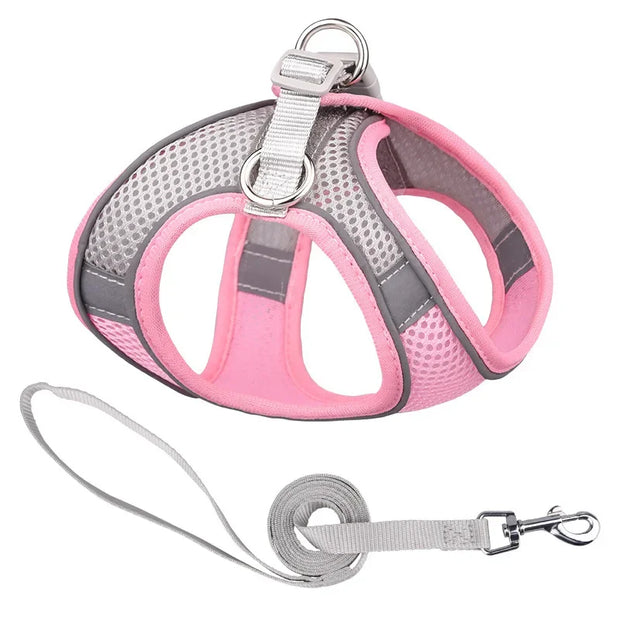 Breathable Adjustable Outdoor Walking Mesh Dog Harness Vest Set
