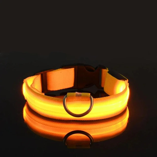 Light-Up Safety Collar for Night Walks Dog Collar