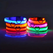 Light-Up Safety Collar for Night Walks Dog Collar