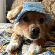 Breathable Adjustable Summer Cap Pet Sun Hat