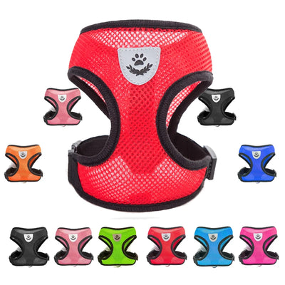 Breathable Pet Harness & Leash Adjustable Vest  Set