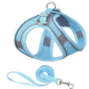 Breathable Adjustable Outdoor Walking Mesh Dog Harness Vest Set