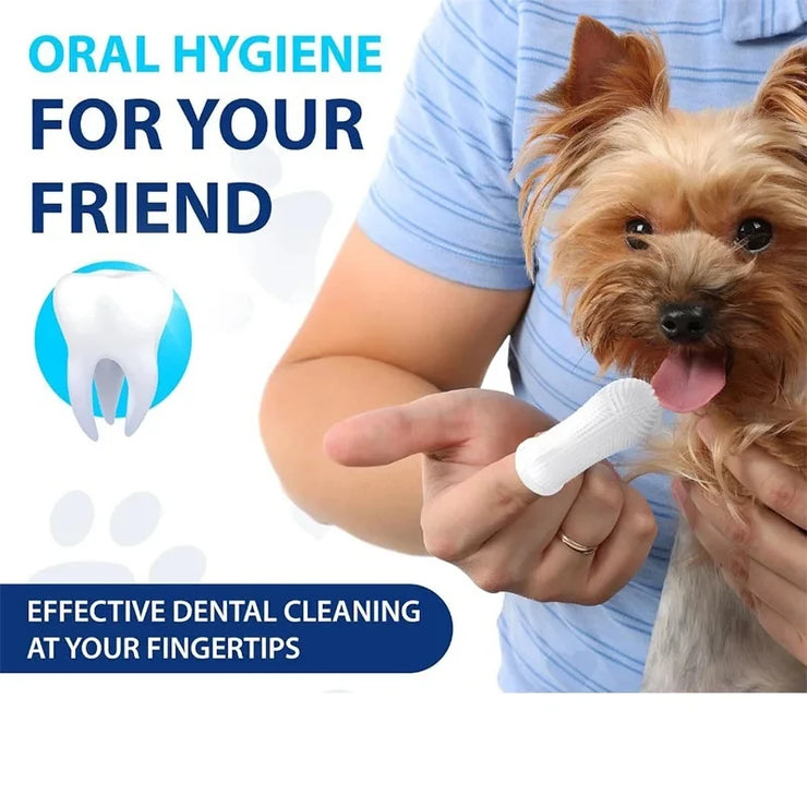 Plush Ball Launcher Toy