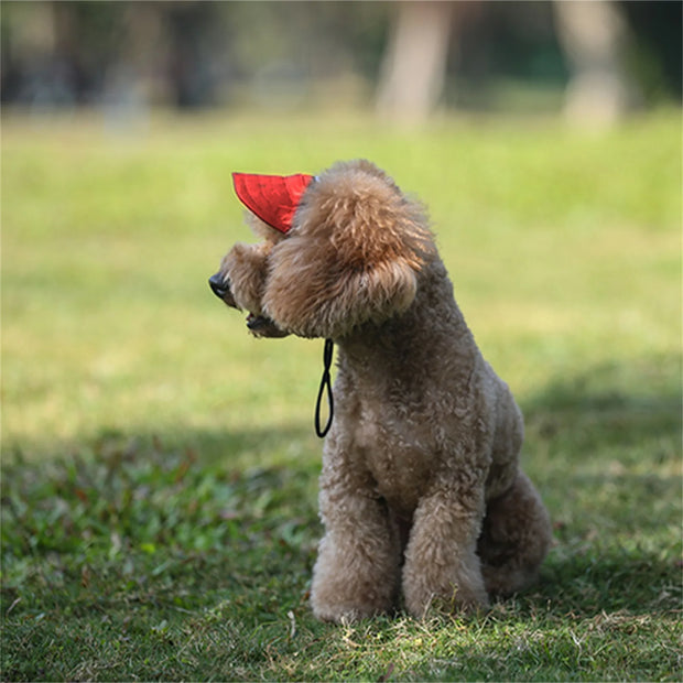 Adjustable Dog Baseball Cap Outdoor Sun Visor Hat