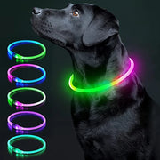 LED Glowing USB Rechargeable Light-Up Safety Pet Collar Necklace