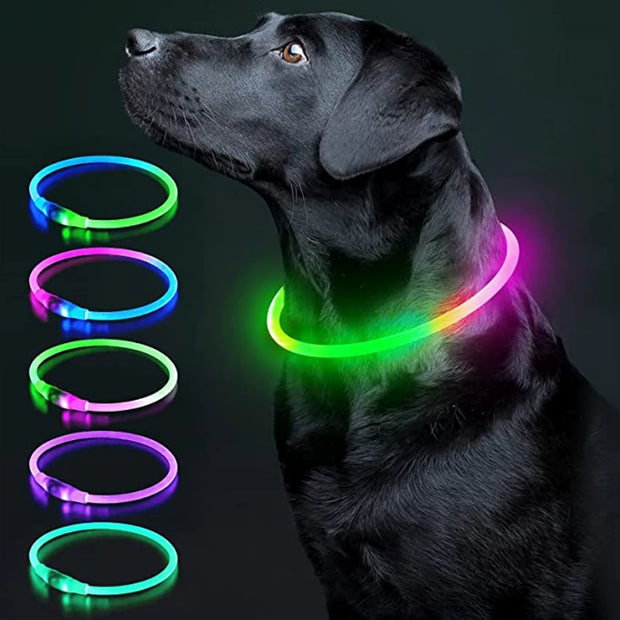 LED Glowing USB Rechargeable Light-Up Safety Pet Collar Necklace