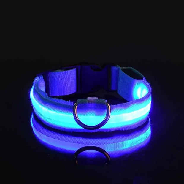 Light-Up Safety Collar for Night Walks Dog Collar