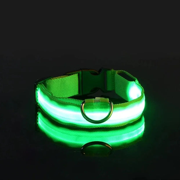 Light-Up Safety Collar for Night Walks Dog Collar