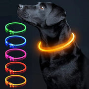 LED Glowing USB Rechargeable Light-Up Safety Pet Collar Necklace