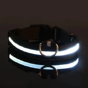 Light-Up Safety Collar for Night Walks Dog Collar