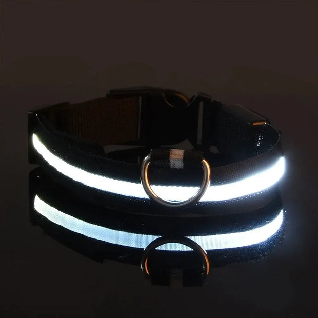 Light-Up Safety Collar for Night Walks Dog Collar