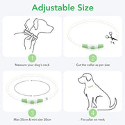 LED Glowing USB Rechargeable Light-Up Safety Pet Collar Necklace