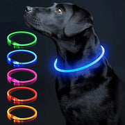 LED Glowing USB Rechargeable Light-Up Safety Pet Collar Necklace