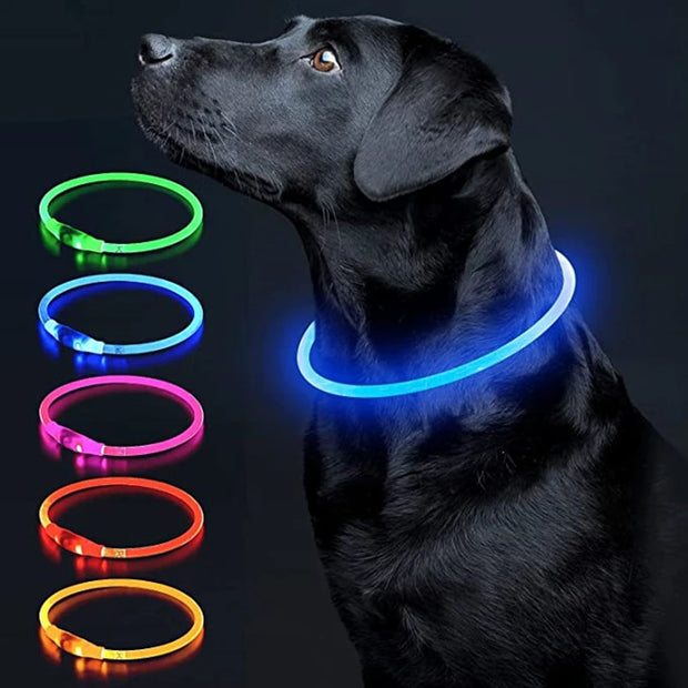 LED Glowing USB Rechargeable Light-Up Safety Pet Collar Necklace