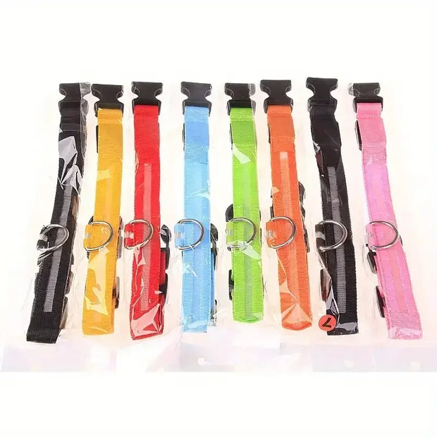 Light-Up Safety Collar for Night Walks Dog Collar
