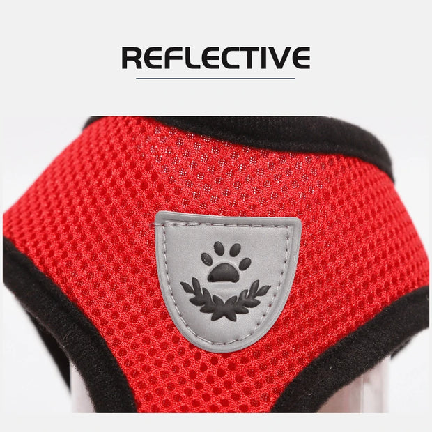 Breathable Pet Harness & Leash Adjustable Vest  Set