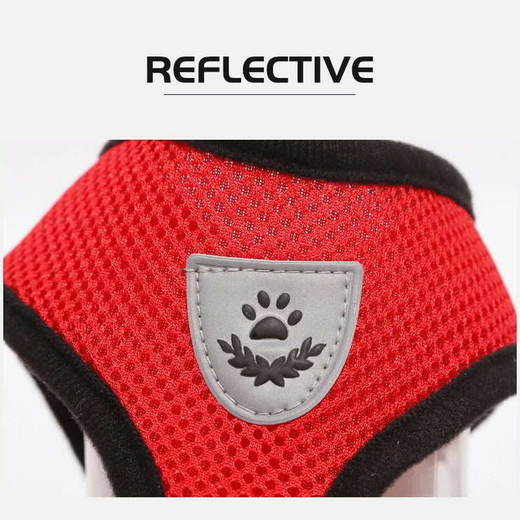 Pet Harness & Leash Set