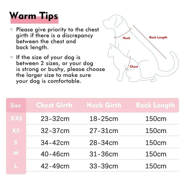 Breathable Adjustable Outdoor Walking Mesh Dog Harness Vest Set