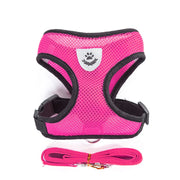 Breathable Pet Harness & Leash Adjustable Vest  Set