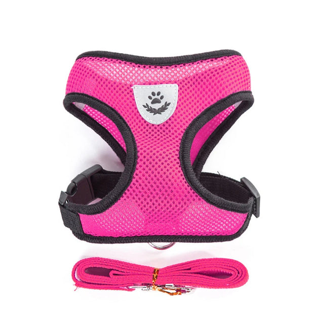 Breathable Pet Harness & Leash Adjustable Vest  Set