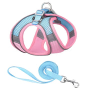 Breathable Adjustable Outdoor Walking Mesh Dog Harness Vest Set