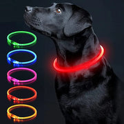 LED Glowing USB Rechargeable Light-Up Safety Pet Collar Necklace