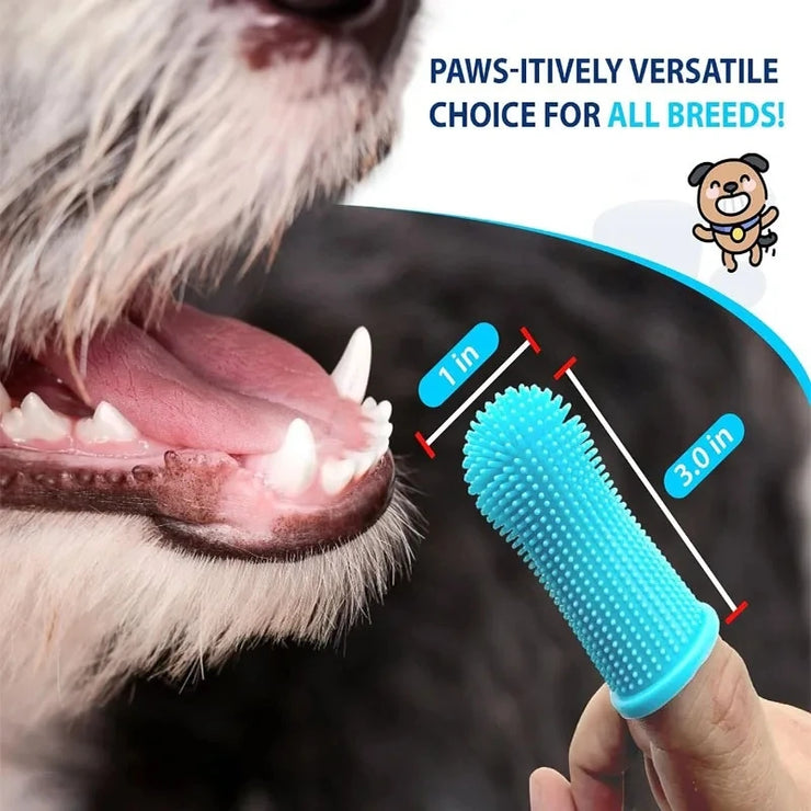 Plush Ball Launcher Toy