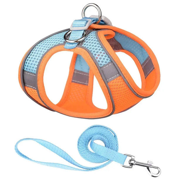 Breathable Adjustable Outdoor Walking Mesh Dog Harness Vest Set