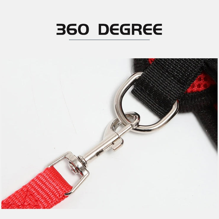 Pet Harness & Leash Set