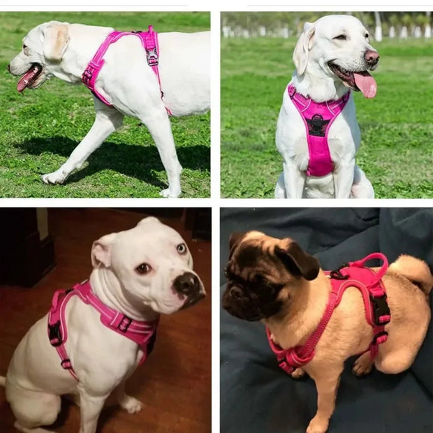 Reflective Adjustable Breathable Vest Pet Harness