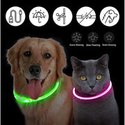 LED Glowing USB Rechargeable Light-Up Safety Pet Collar Necklace