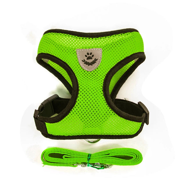 Breathable Pet Harness & Leash Adjustable Vest  Set