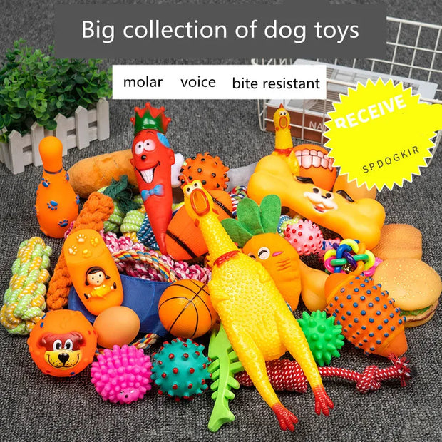 Dog Squeaky Plush, Chew Rope & Ball Toys set