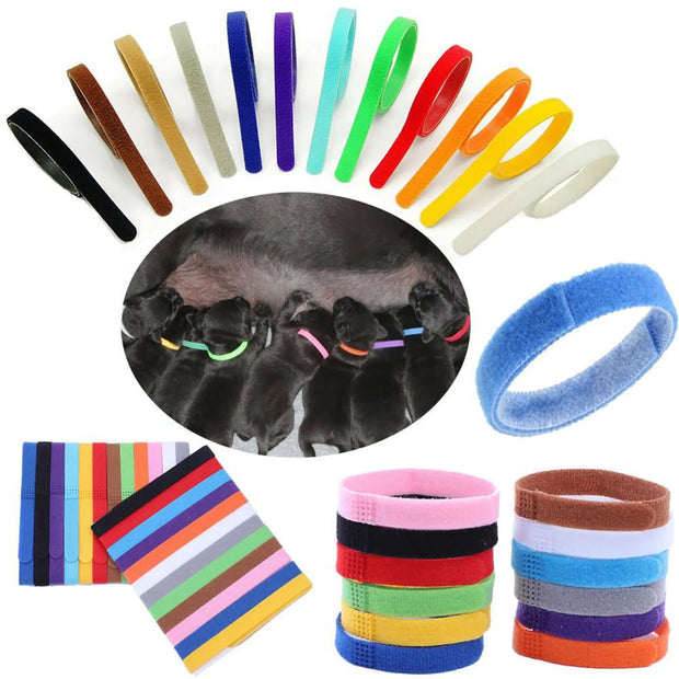 12PCS Adjustable Puppy ID Color Coded Nylon Markers Collars
