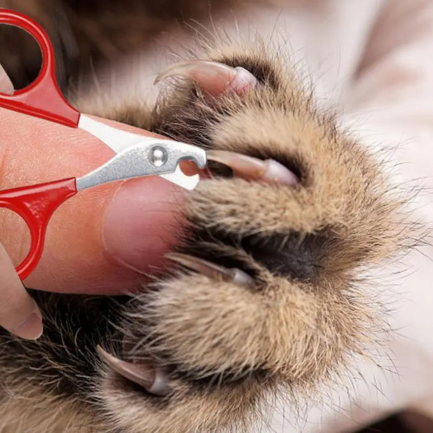 Professional Pet Nail Clippers & Scissors