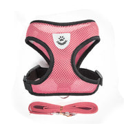 Breathable Pet Harness & Leash Adjustable Vest  Set