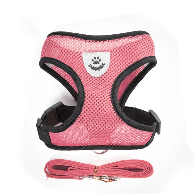 Breathable Pet Harness & Leash Adjustable Vest  Set