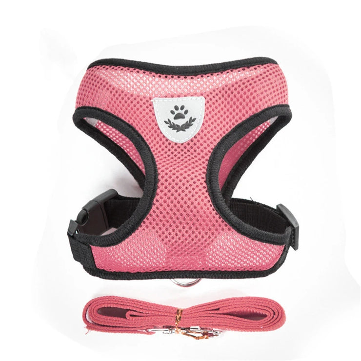 Pet Harness & Leash Set