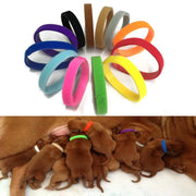 12PCS Adjustable Puppy ID Color Coded Nylon Markers Collars