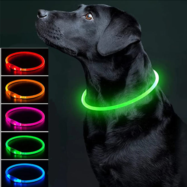 LED Glowing USB Rechargeable Light-Up Safety Pet Collar Necklace
