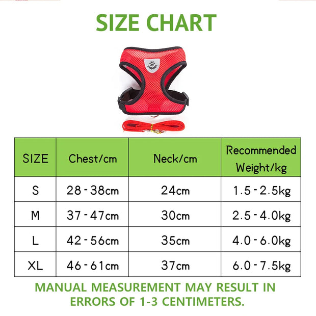 Breathable Pet Harness & Leash Adjustable Vest  Set