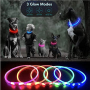 LED Glowing USB Rechargeable Light-Up Safety Pet Collar Necklace